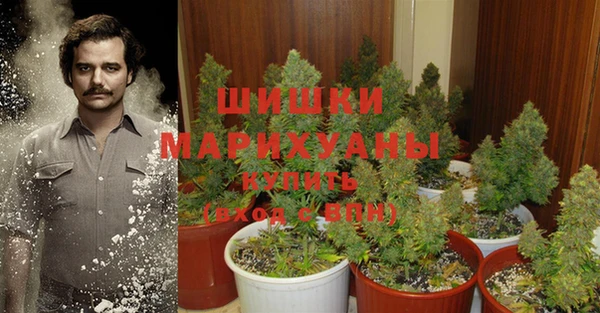 крисы Дмитриев