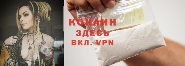 крисы Дмитриев