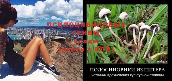 мяу мяу кристалл Дмитров
