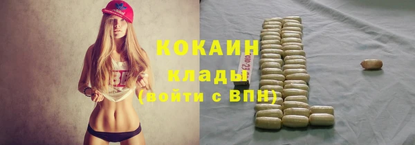 крисы Дмитриев