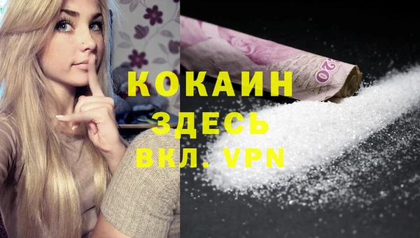 сатива Строитель